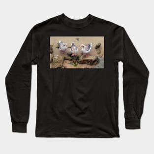 The Three Geese of Apollo Bay Long Sleeve T-Shirt